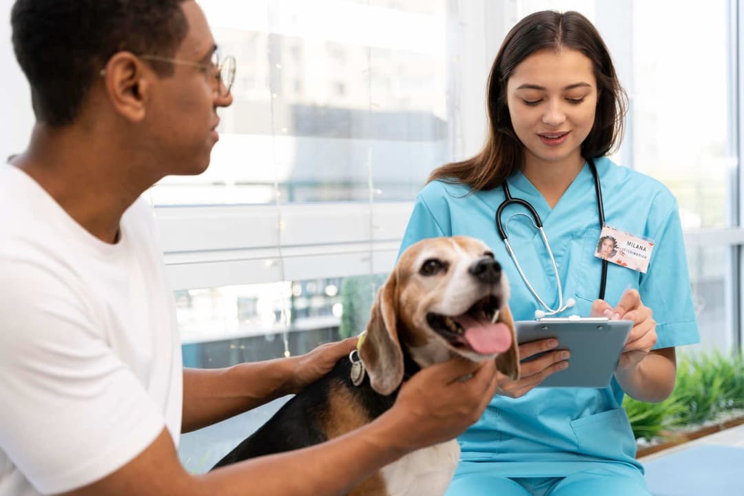 Veterinary Practice Finance